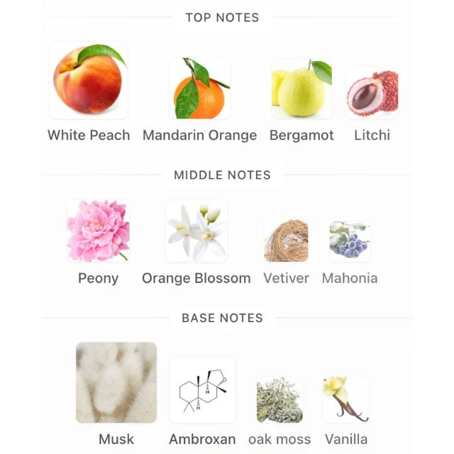 Afnan MYSTIQUE BOUQUET EDP - Image 3