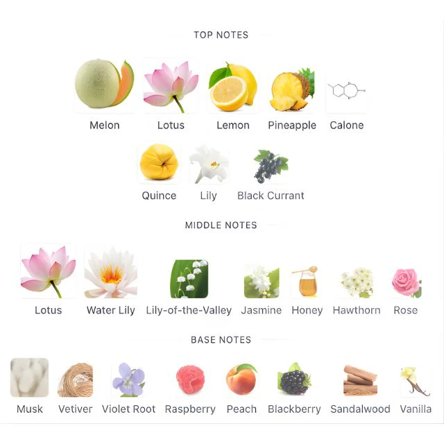 Davidoff COOLWATER EDT WOMEN Tester - Image 2