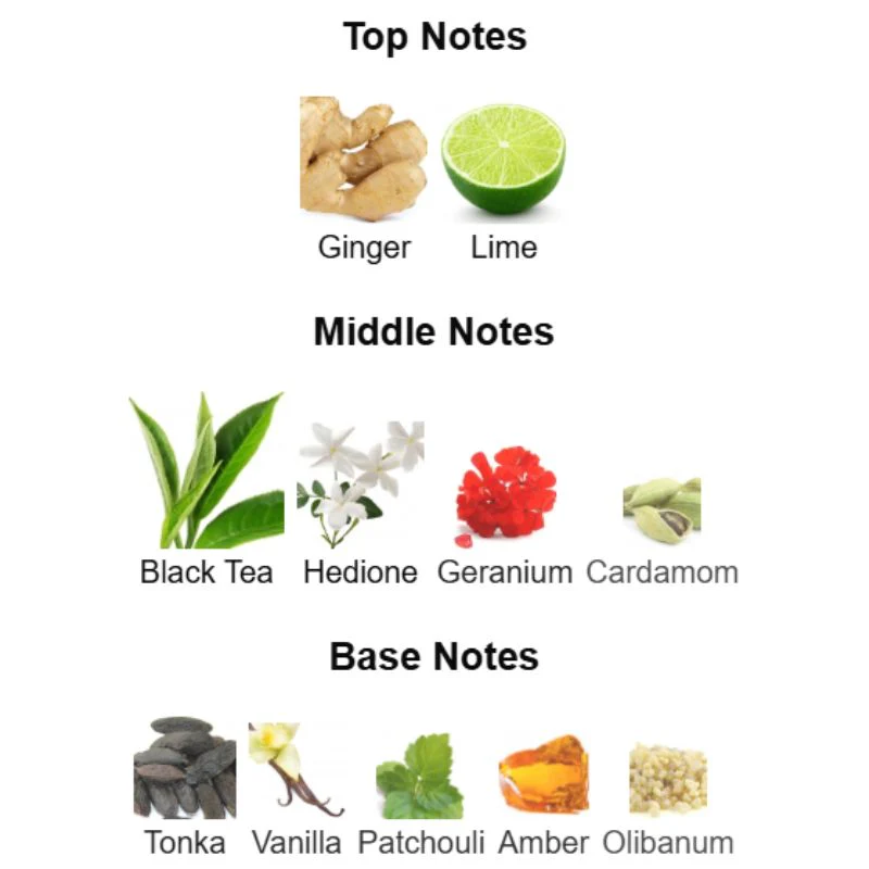 Fragrance World TEAS ME AROMATIX - Image 2