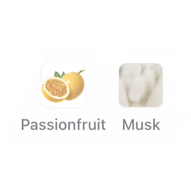 Reef PURE MUSK - Image 2