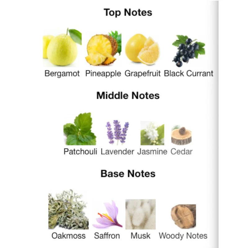 Rue Broca THEOREME MATRIX EDP - Image 3